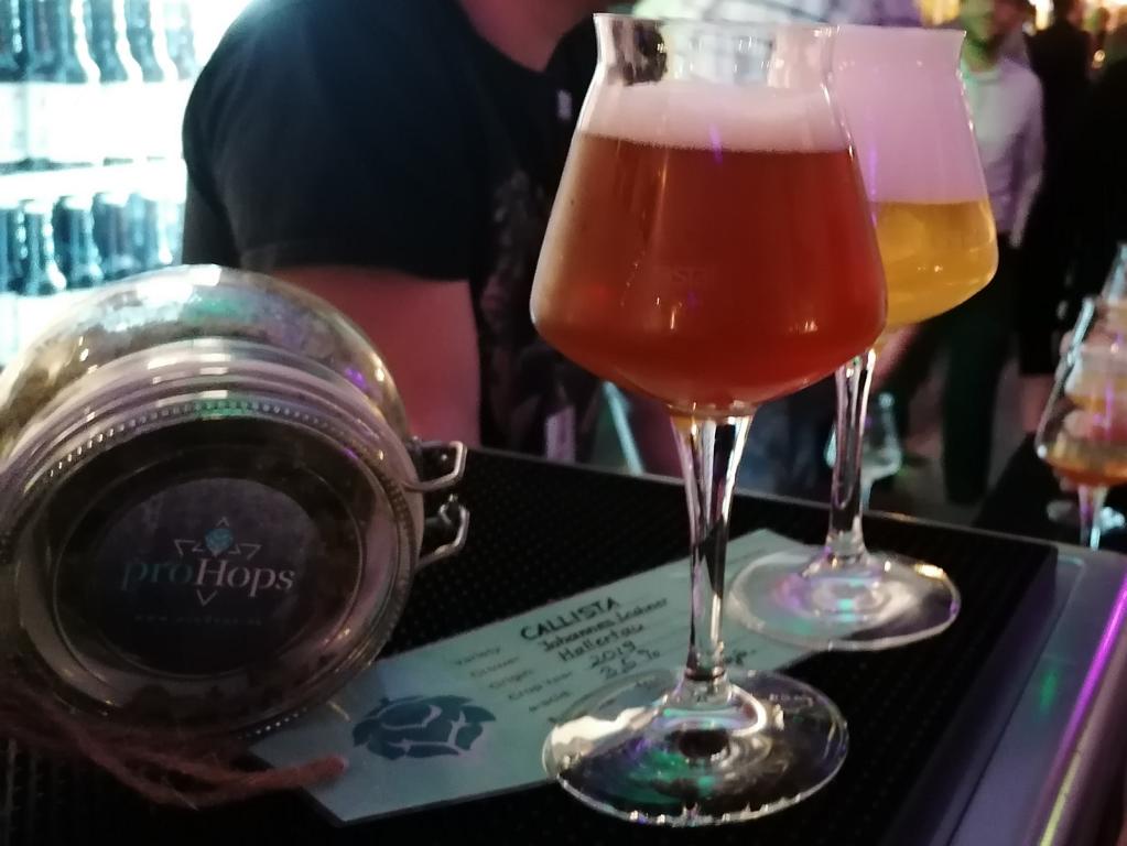 Hopfen Bier Probe